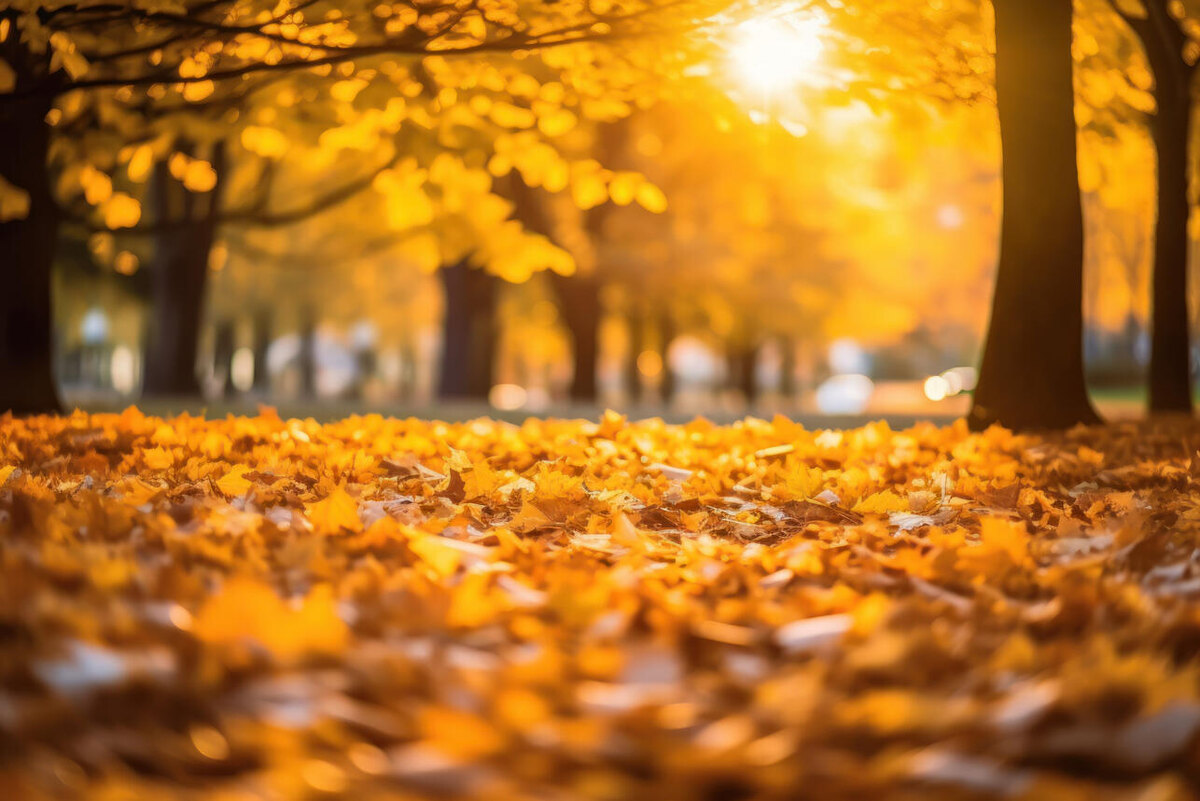    Осень 123RF/legion-media.ru