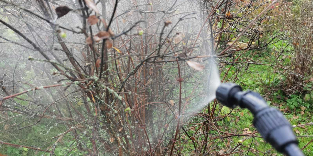 Одна обработка поздней осенью и все вредители «вымрут» на целый год. Мощная смесь для надёжной защиты