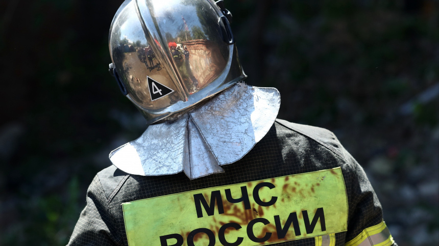    Фото: © РИА Новости/Павел Симаков