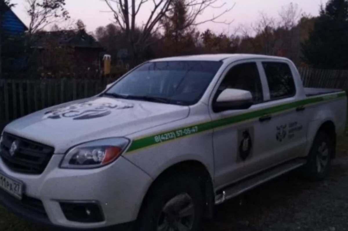    В Хабаровском крае бурый медведь вышел к дачникам и напугал людей