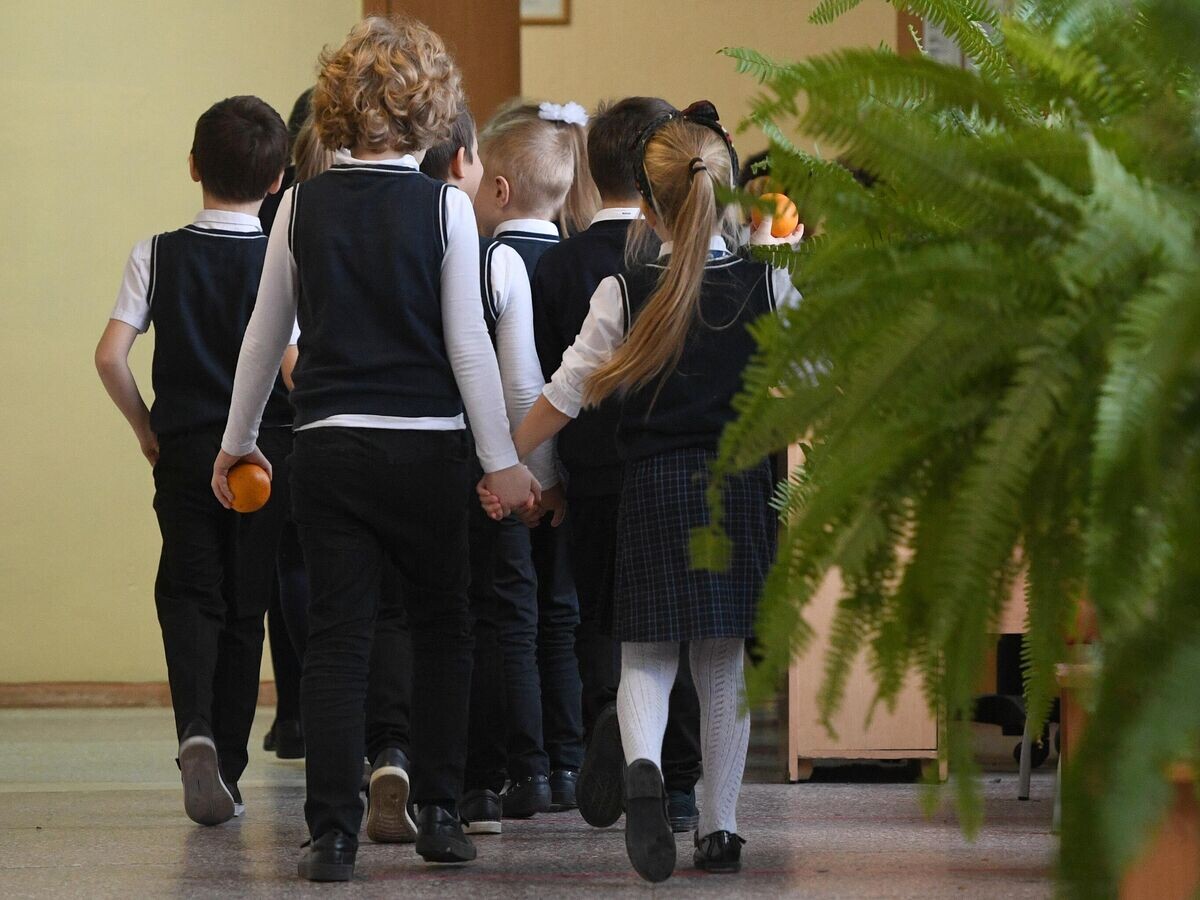    Ученики начальных классов в гимназии Новосибирска© РИА Новости / Александр Кряжев