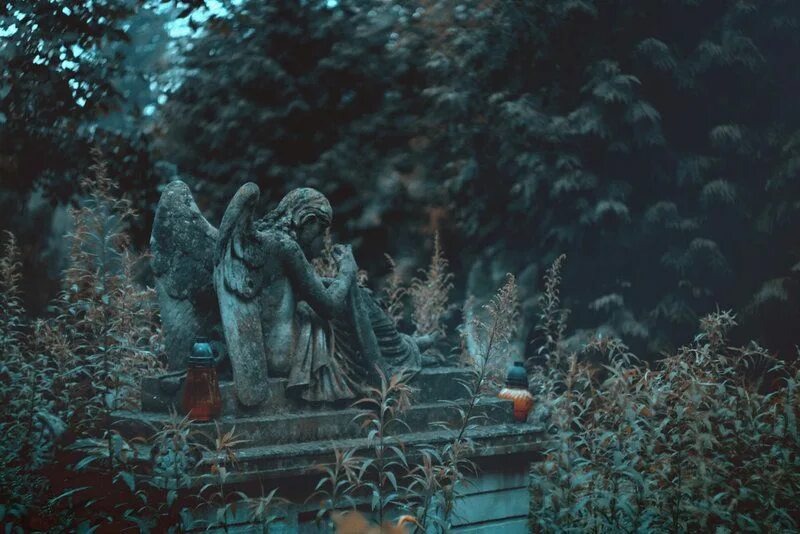 Изображение взято из открытых источников интернета. 