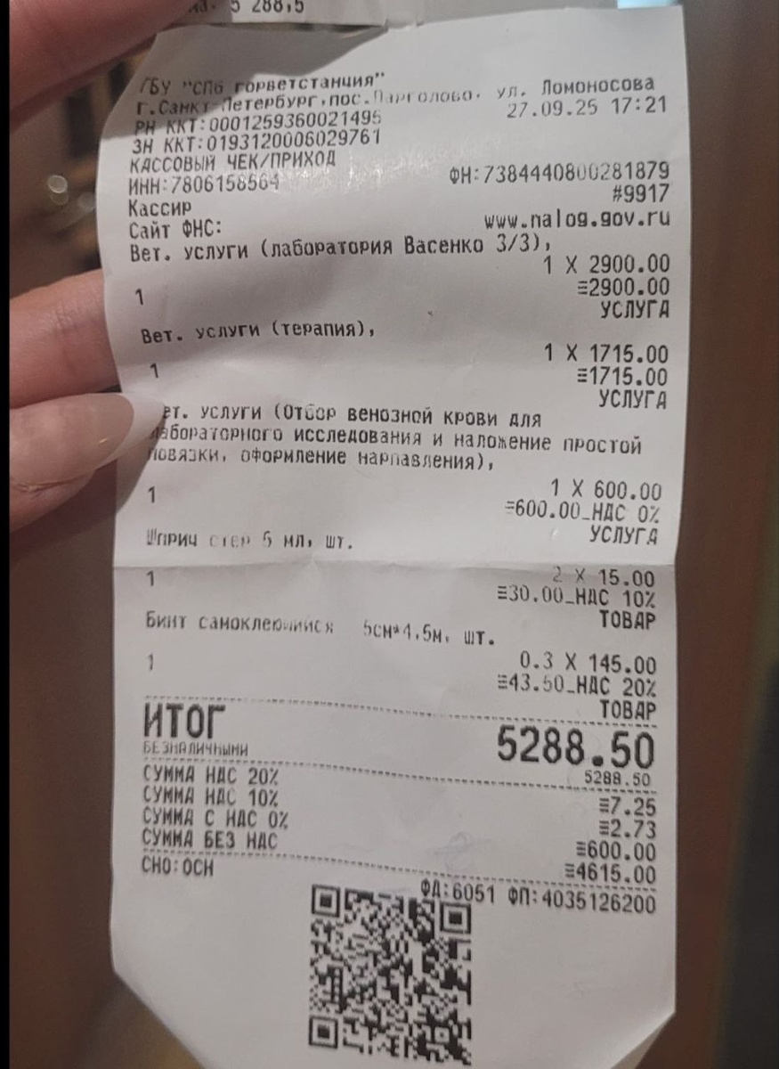 чек об оплате за мучения