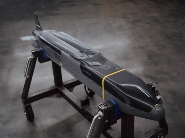 Убийцы крылатых ракет: Кнутов назвал самые эффективные системы ПВО против "Барракуд" и "Томагавков"