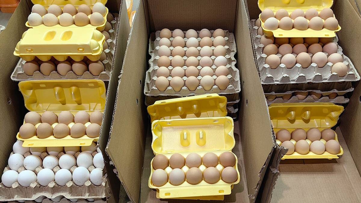    Фото: Василий Кузьмиченок / АГН Москва