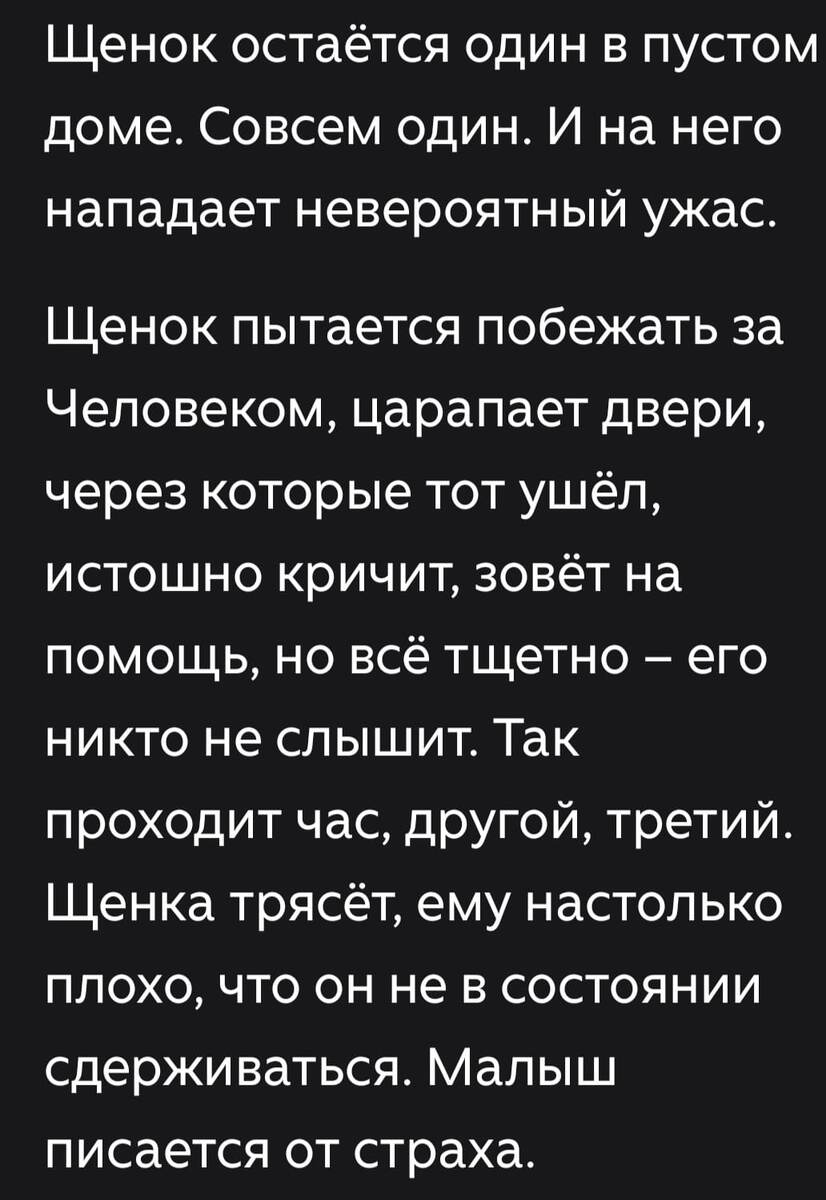 скриншот автора со скриншота))))