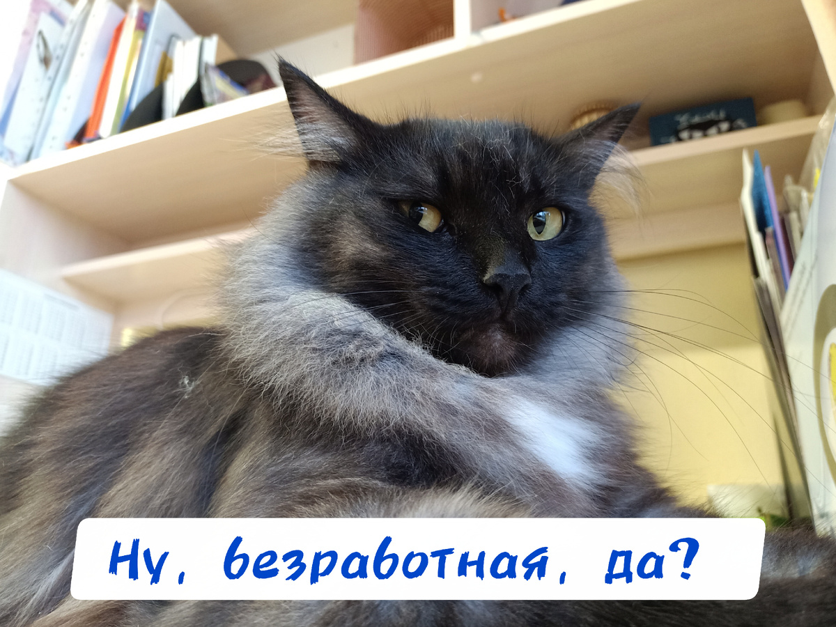 Да, блиииин 😅