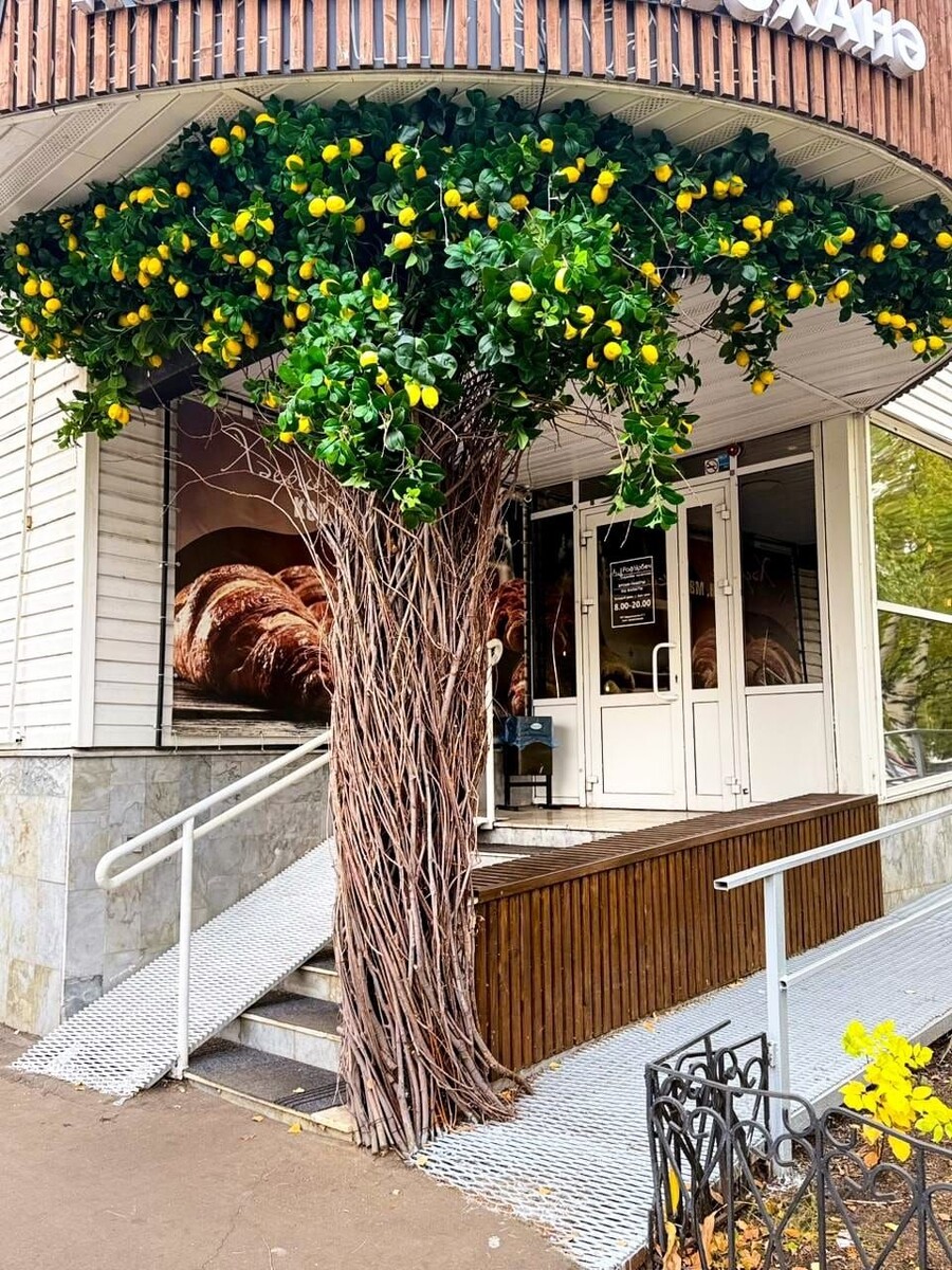 Листайте вправо, чтобы увидеть больше изображений