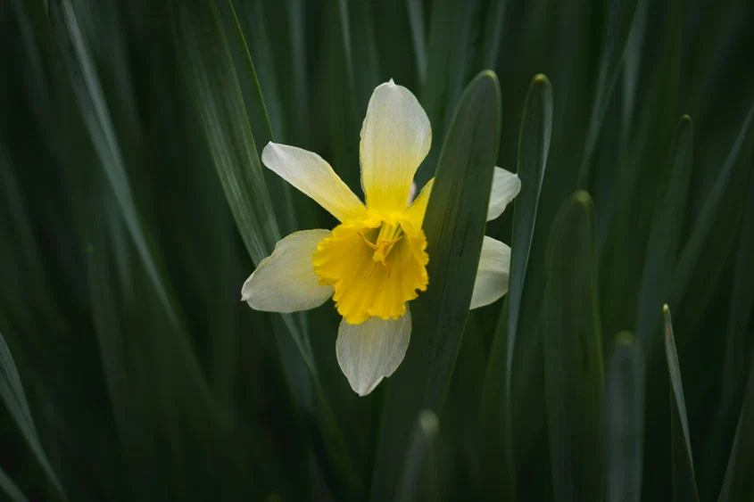 Фото на обложке: Sanela Arsenić / Unsplash