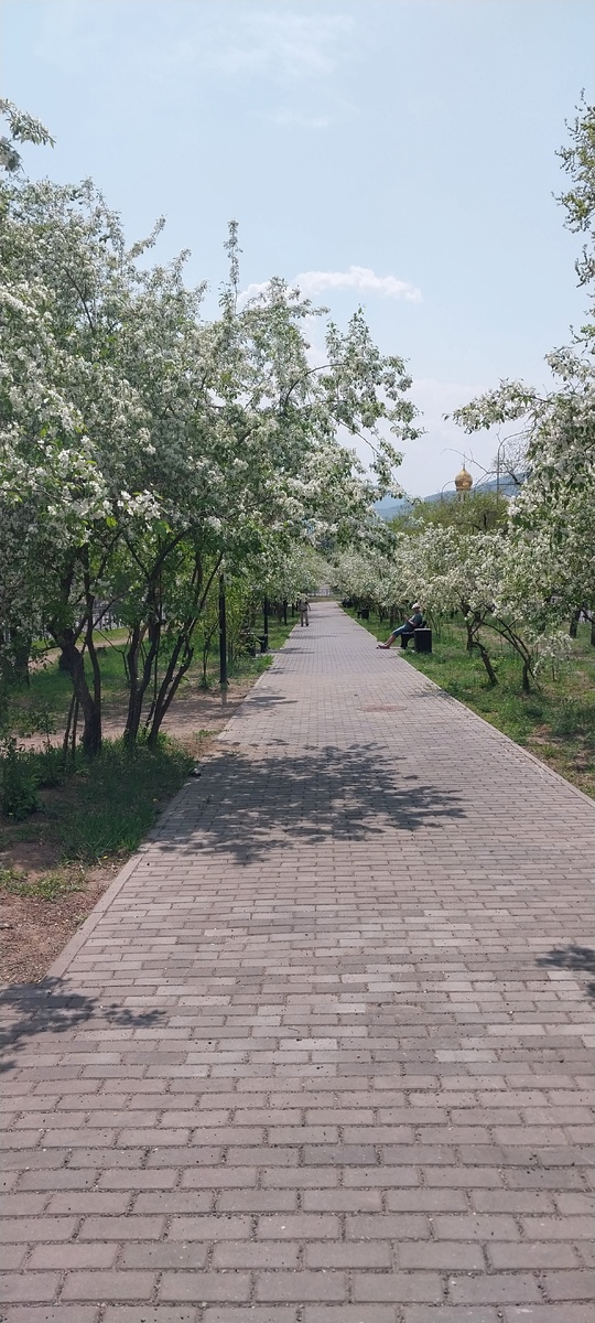 Улица Горького. Чита . Фото автора.