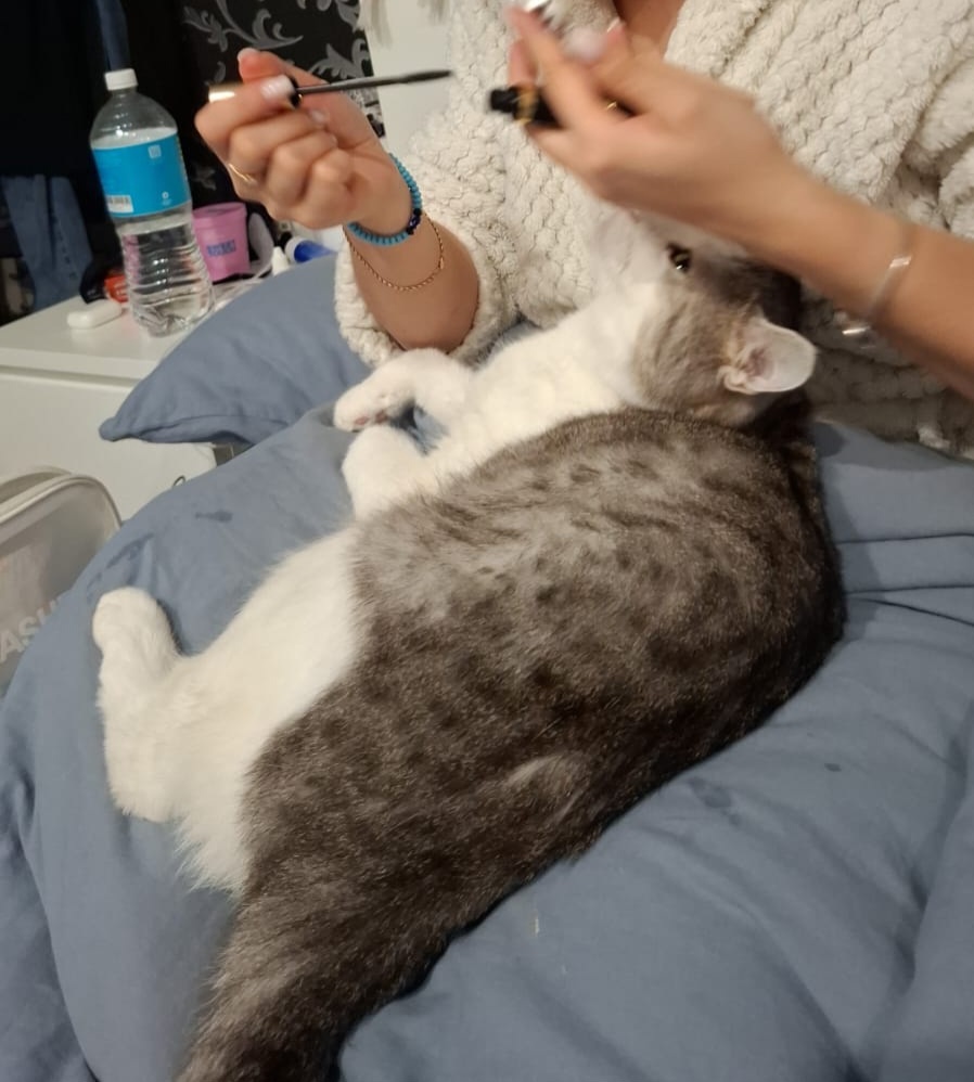 Глазки приготовил