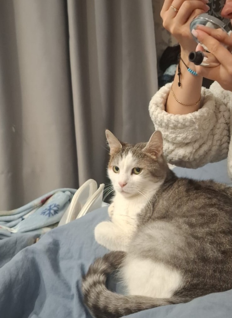 Ждёт, когда до нео очередь дойдёт 