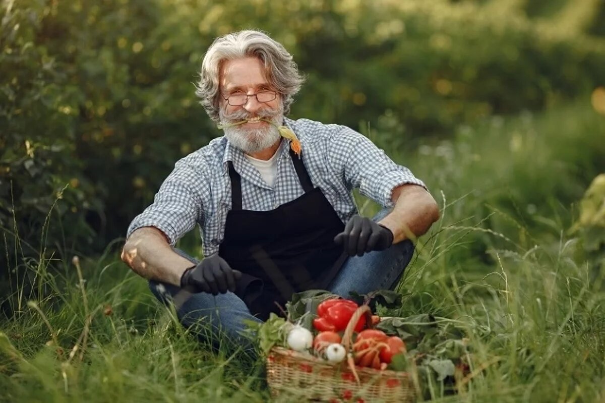    Пенсионеры-фермеры в Омской области получают прибавку к пенсии