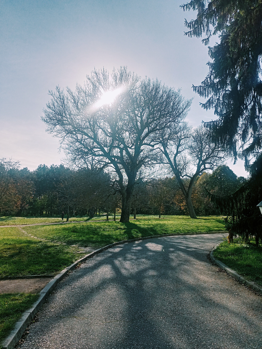 Фото автора.