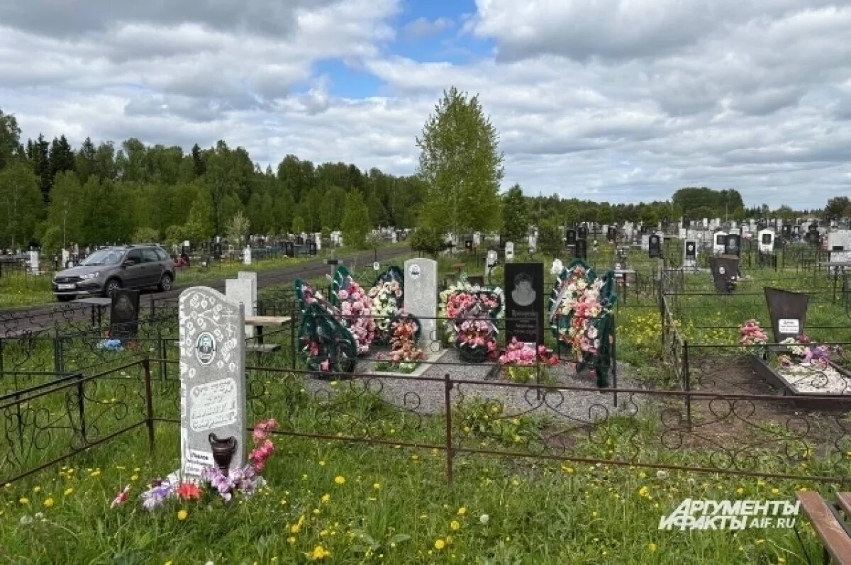    Женщина разгромила могилу 89-летней покойницы на Камчатке, возбуждено дело