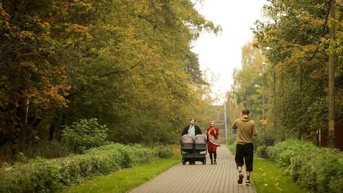    Фото: Артур Новосильцев / АГН Москва