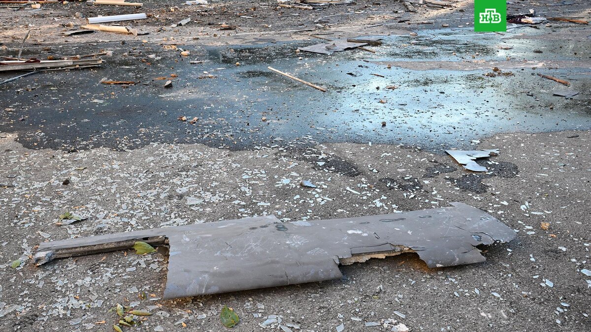    Фото: РИА Новости © 2025, Константин Михальчевский