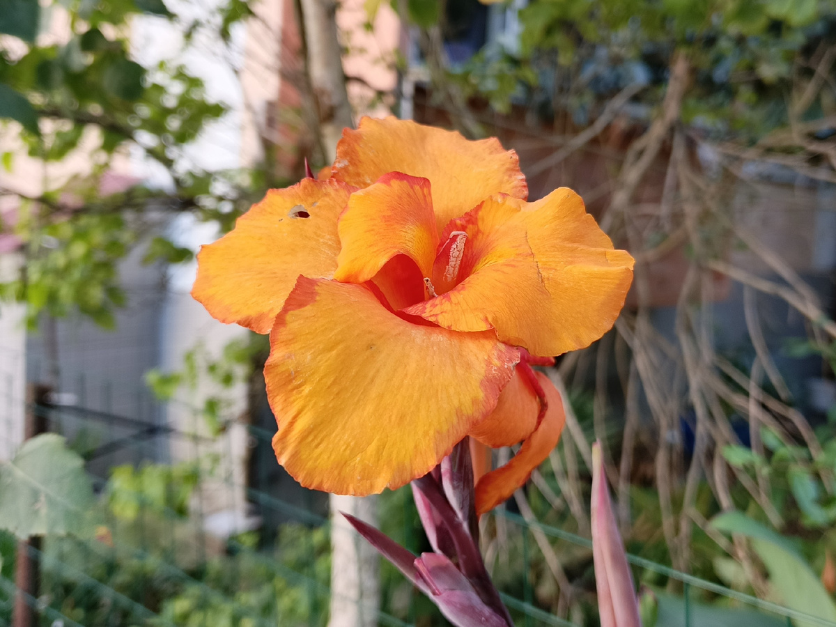 Адлер, один из солнечных дней октября 2025 года