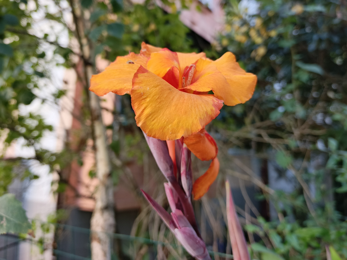 Адлер, один из солнечных дней октября 2025 года