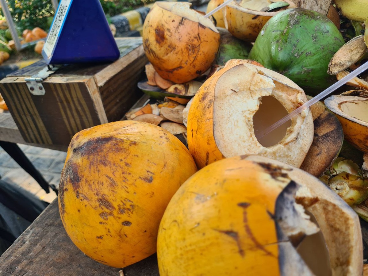 Выпитый кокосовый сок