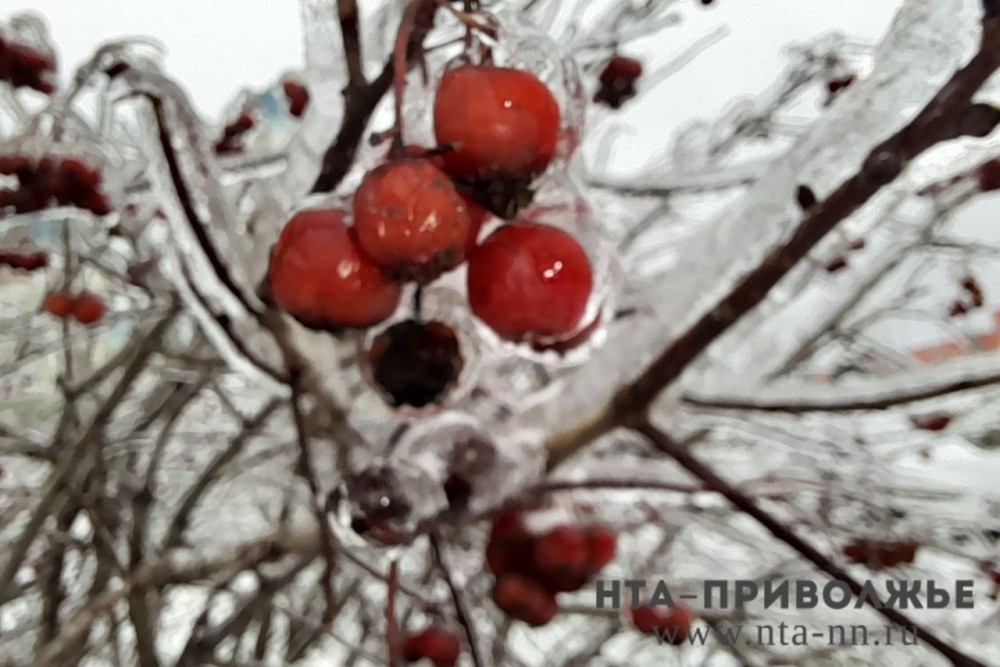    Народные приметы: 10 октября