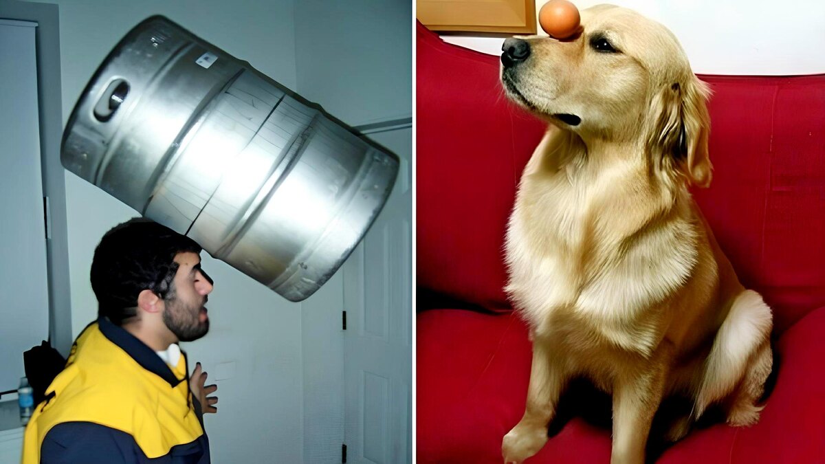 25 фото идеального баланса, которые заставят вас замереть от изумления