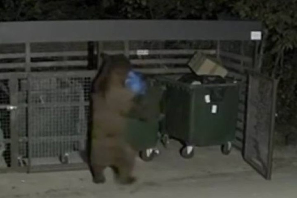    Фото: скриншот видео в соцсетях