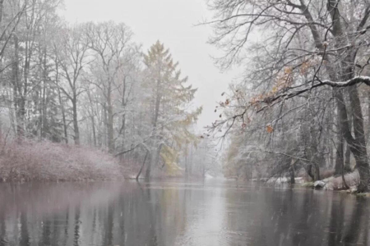    Первый снежный покров, скорее всего, будет временным.