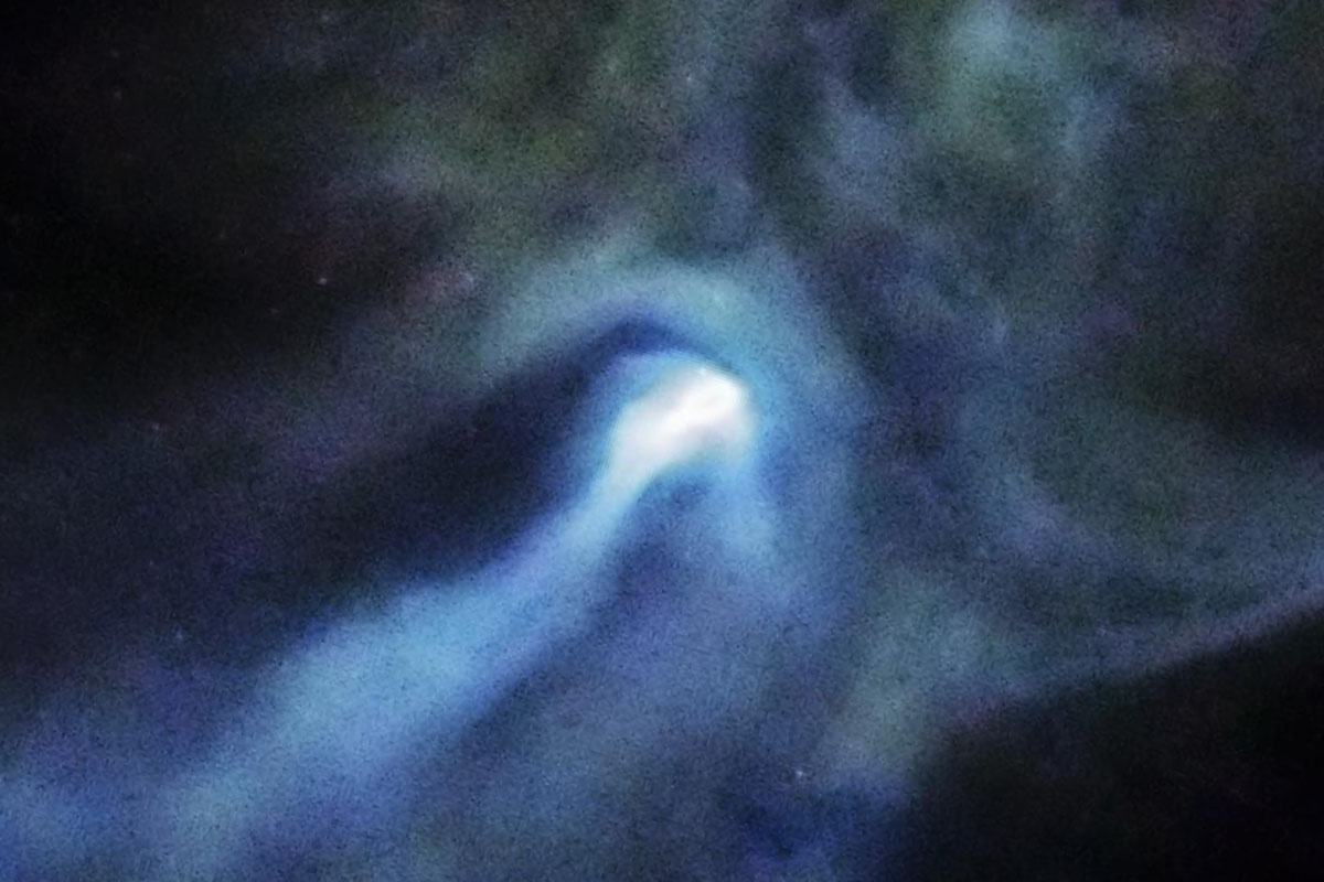 В центре этой яркой области (почти белого цвета) скрывается крошечный, но невероятно мощный пульсар / © NASA