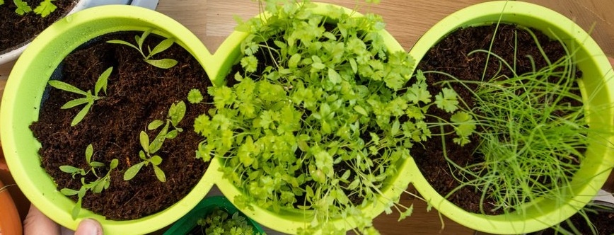 фото взято из открытых источников интернета