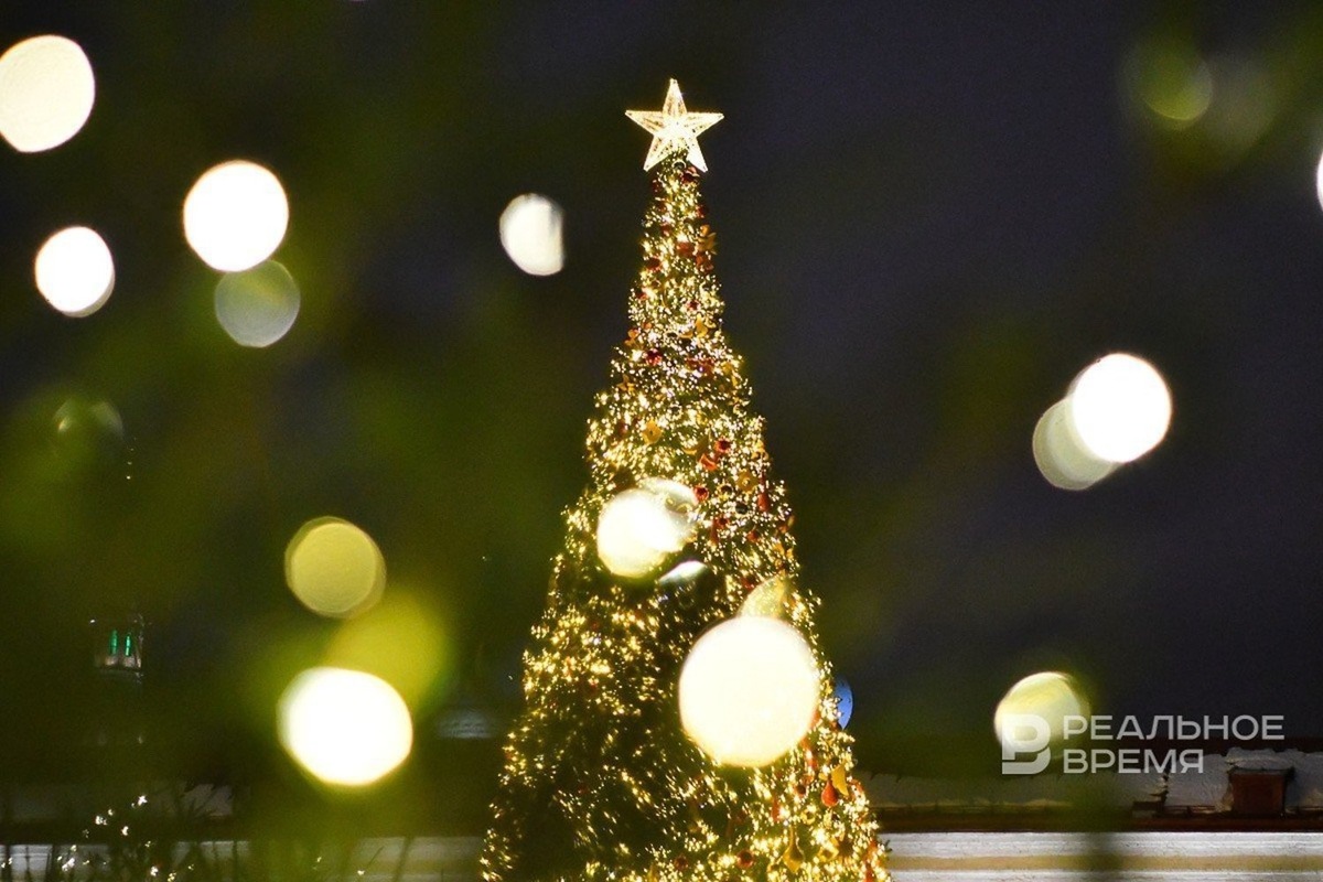   Максим Платонов / realnoevremya.ru