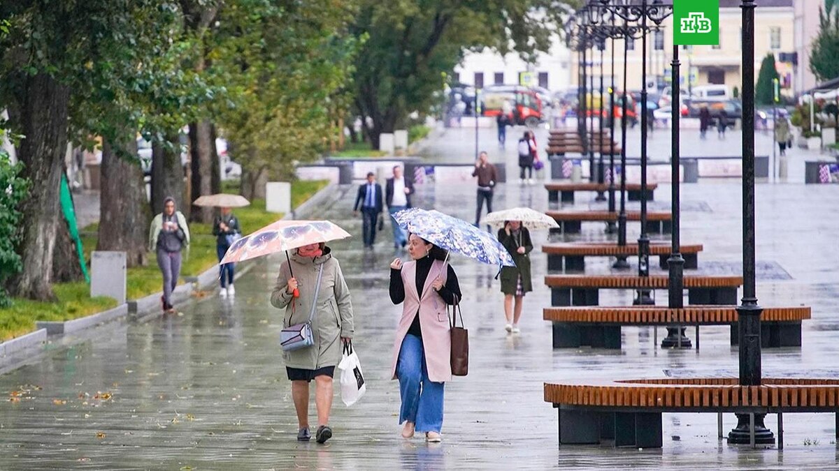    Фото: Евгений Самарин \ mos.ru