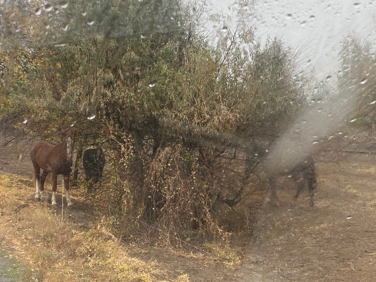 Где-то в районе Волгодонска.