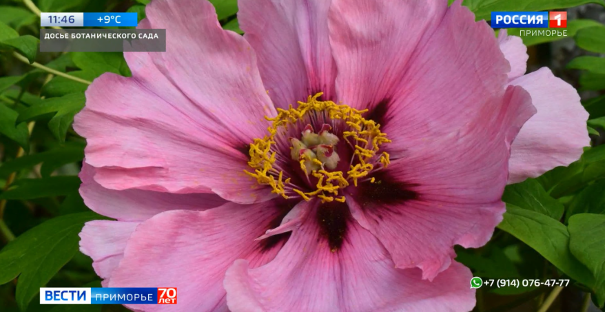    Источник фото: