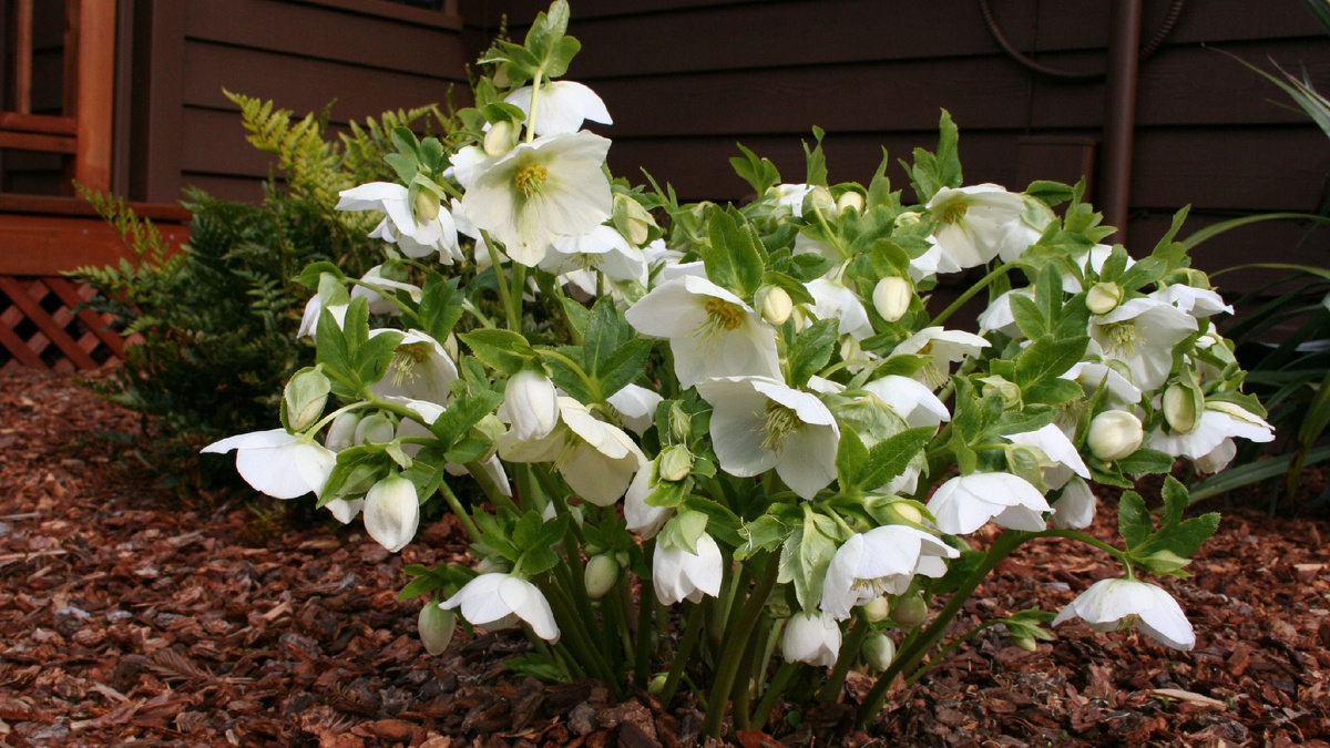 Листай галерею