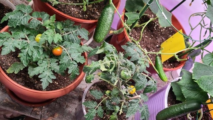 фото взято из открытых источников интернета