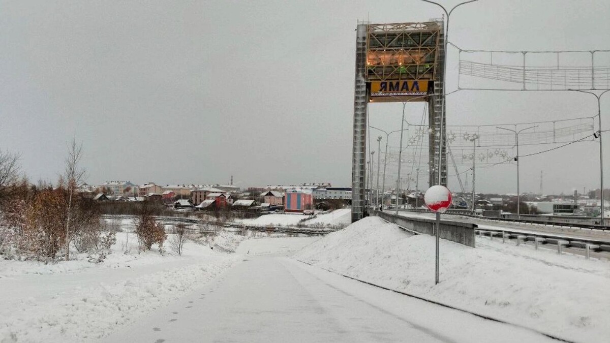    Фото: Владимир Ганчерко / «Ямал-Медиа»