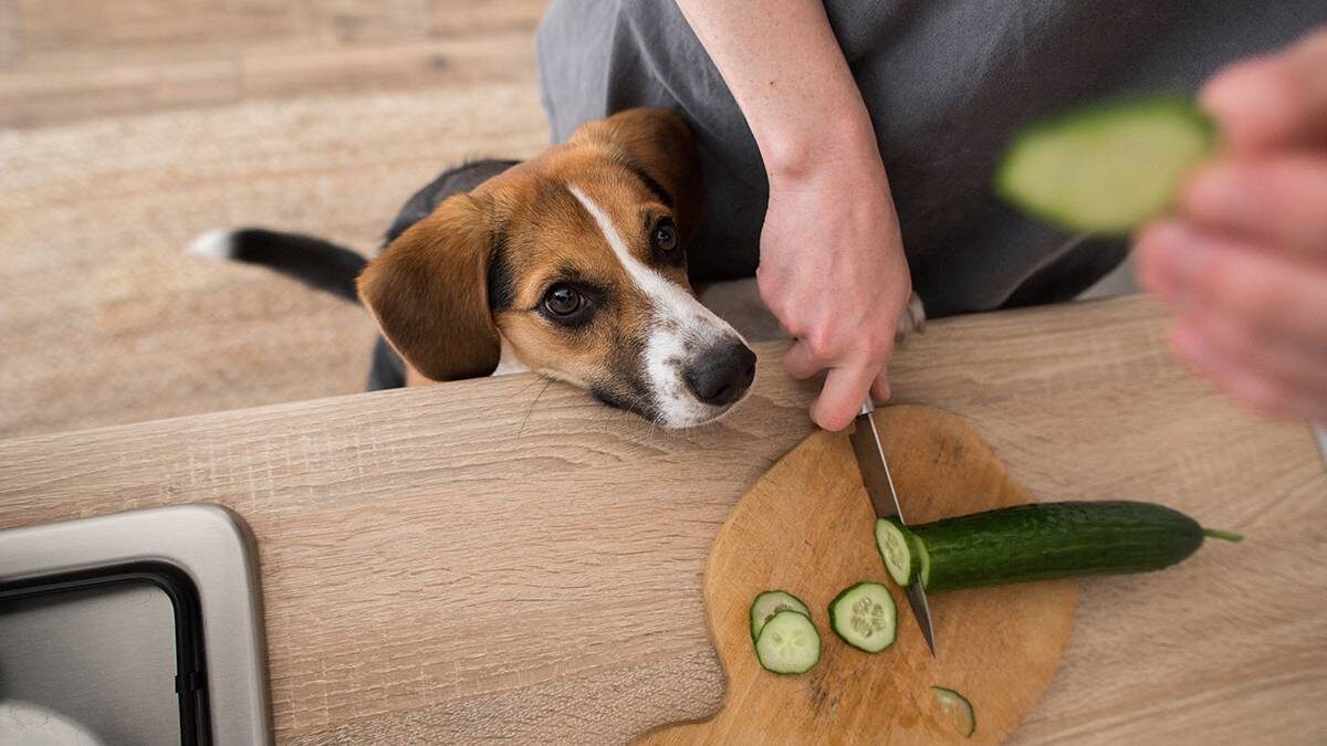    Фото: Shutterstock