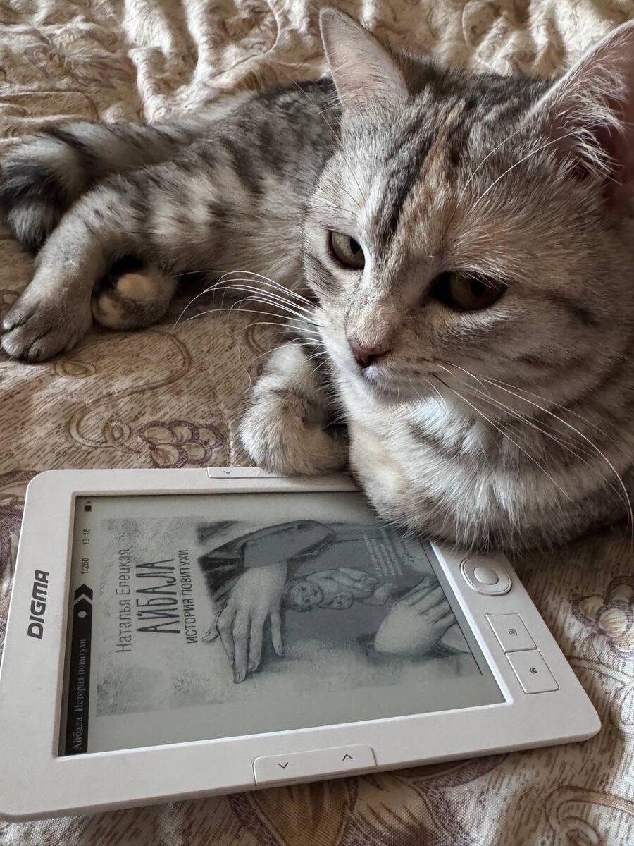 фото из архива