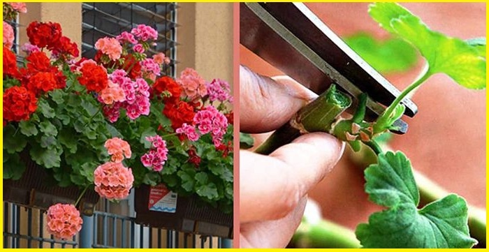 Фото взято из открытых источников интернета