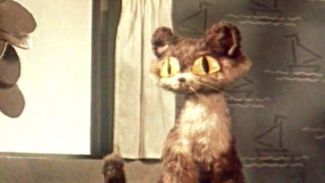 «Кто сказал мяу?»