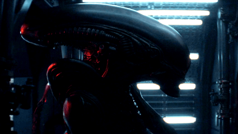 Ксеноморф - это дрений вид существ, в своей естественной эволиции пришедший к ее финалу.