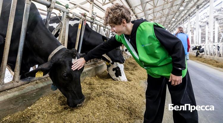 Фото: Павел Колядин