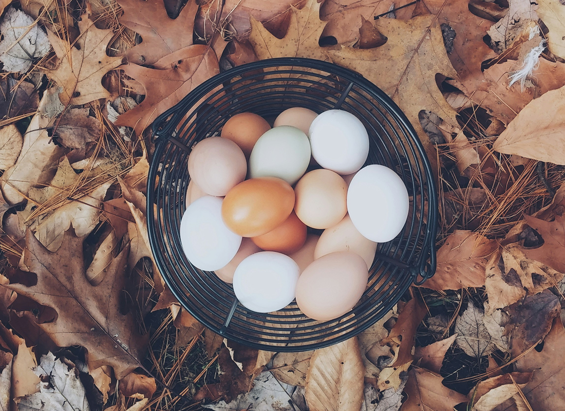 Photo by Autumn Mott Rodeheaver on Unsplash   