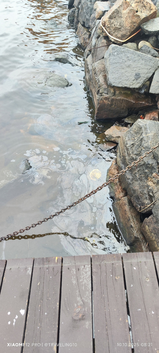    Масштабный разлив нефтепродуктов обнаружили в заливе КарелииМОО «СПАС СЕВЕРО-ЗАПАД» / VK