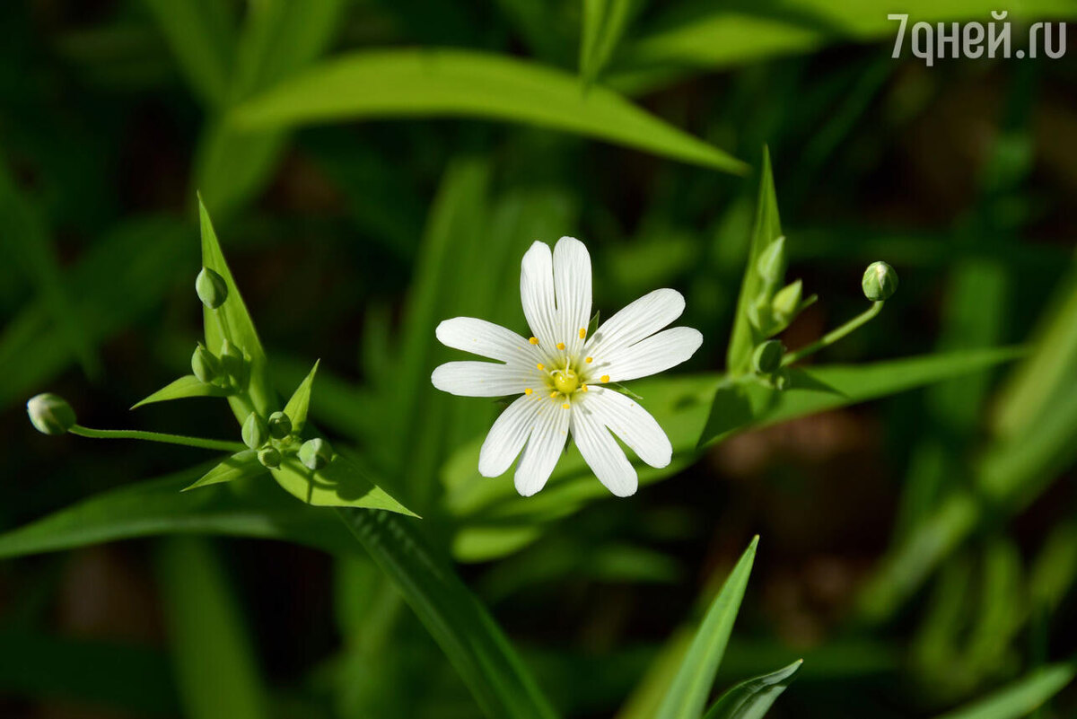     123RF/legion-media.ru