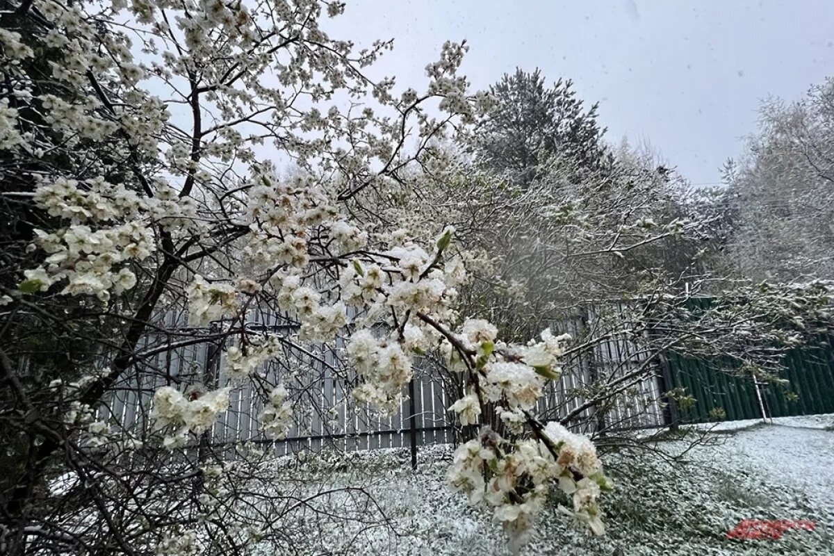    Первый снег ожидается в Нижнем Новгороде 22 октября