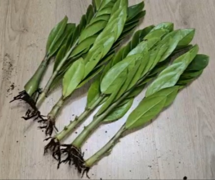 Фото из интернета для примера