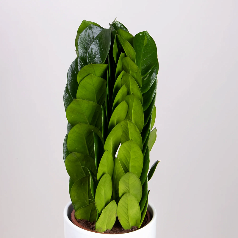 Фото из интернета для примера