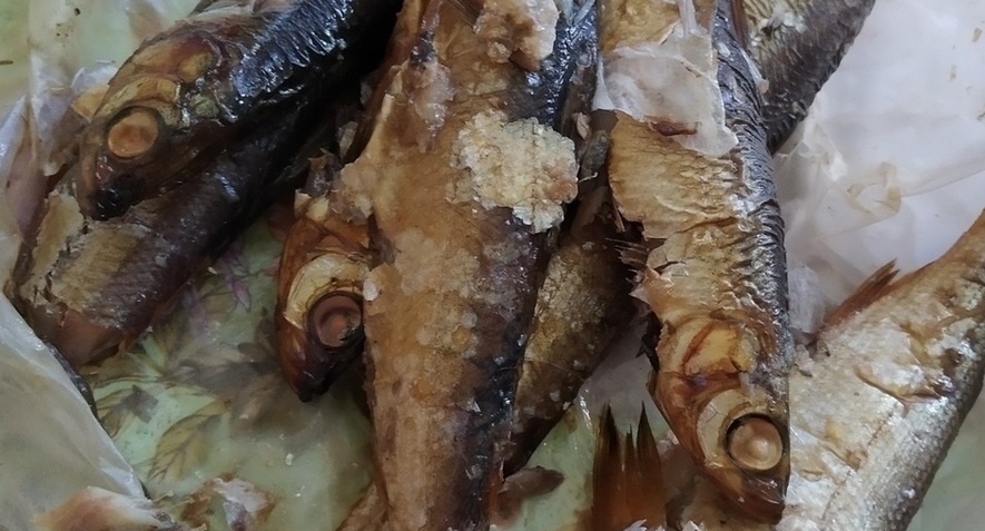 Фото взято из открытых источников интернета